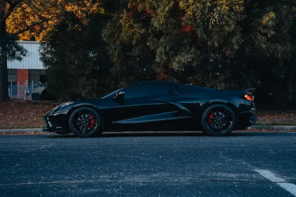 Casino Sticky Wilds Android/iOS Forrit